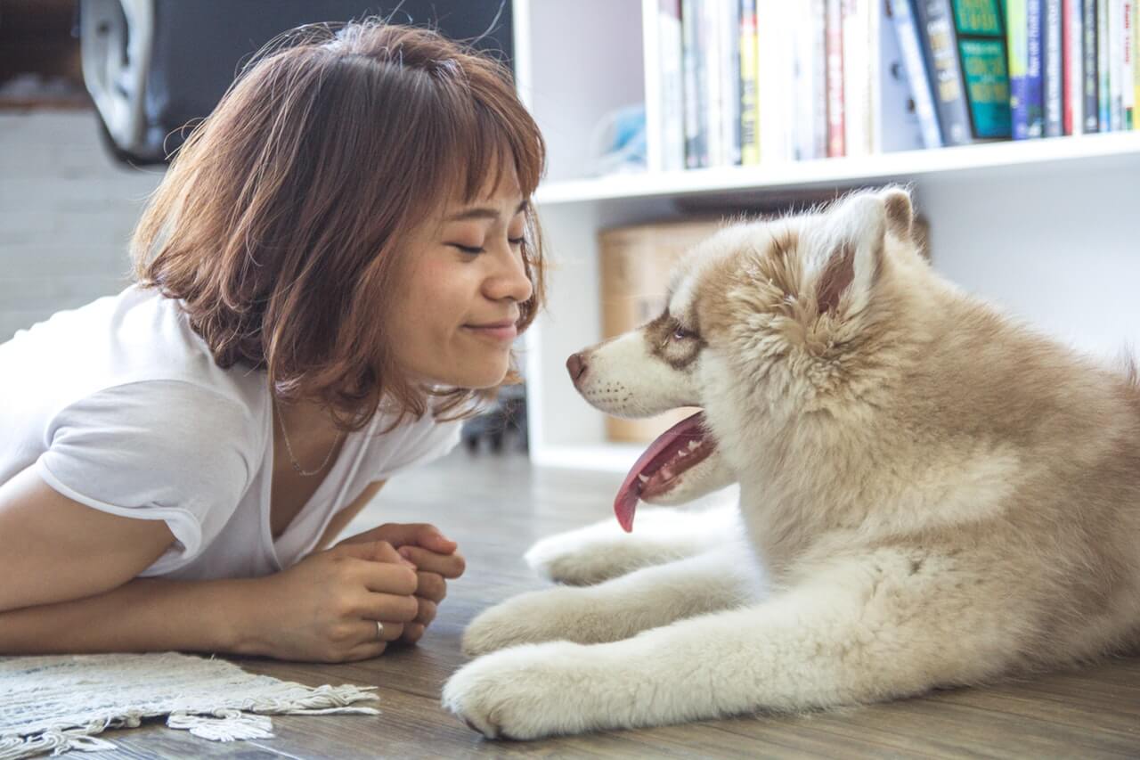 Τι μπορούν να μυρίσουν οι σκύλοι;