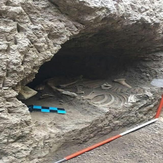 Ανακαλύφθηκε αρχαία ταφή αλόγου στο Ιράν