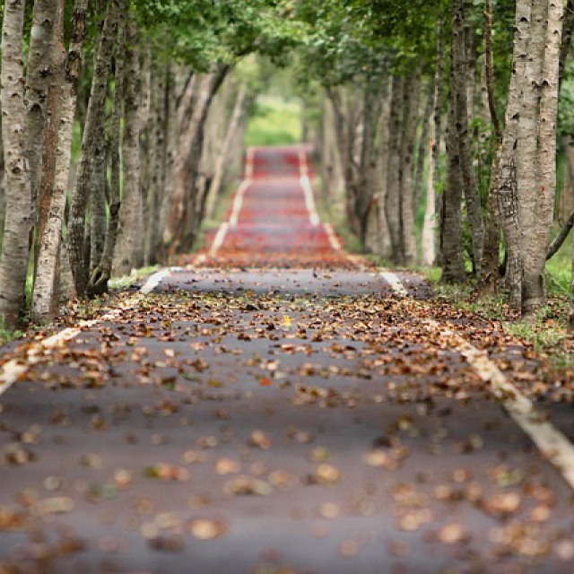 road