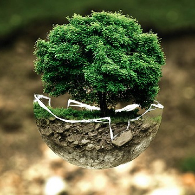 ENVIRONMENTAL BEHAVIORAL PERCEPTIONS UNDER UNCERTAINTY OF ALTERNATIVE ECONOMIC FUTURES