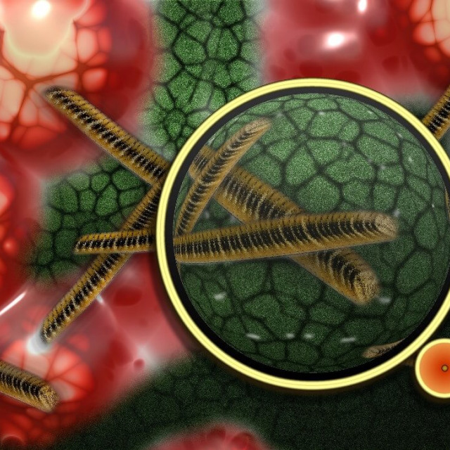 LISTERIA MONOCYTOGENES: ΕΝΑ ΠΑΘΟΓΟΝΟ ΤΩΝ ΤΡΟΦΙΜΩΝ ΜΠΟΡΕΙ ΝΑ ΓΙΝΕΙ ΟΠΛΟ ΕΝΑΝΤΙΑ ΤΟΥ ΚΑΡΚΙΝΟΥ;