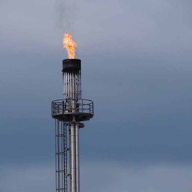 oil