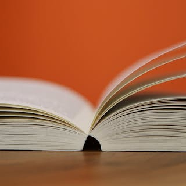 Η ΕΠΑΓΓΕΛΜΑΤΟΠΟΙΗΣΗ ΤΟΥ ΔΙΕΥΘΥΝΤΗ ΣΧΟΛΙΚΗΣ ΜΟΝΑΔΑΣ: ΑΠΟ ΤΗ ΓΡΑΦΕΙΟΚΡΑΤΙΑ ΣΤΗΝ ΣΧΟΛΙΚΗ ΗΓΕΣΙΑ. H ΕΛΛΗΝΙΚΗ ΠΕΡΙΠΤΩΣΗ