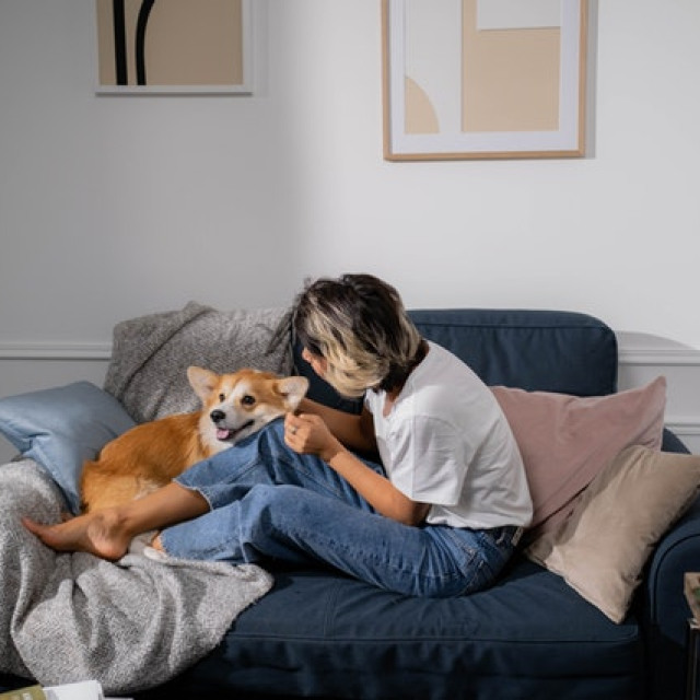 Οι έξυπνοι σκύλοι μπορούν να μάθουν εκατοντάδες λέξεις