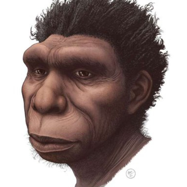 Homo bodoensis: Ο νέος πρόγονος του ανθρώπου