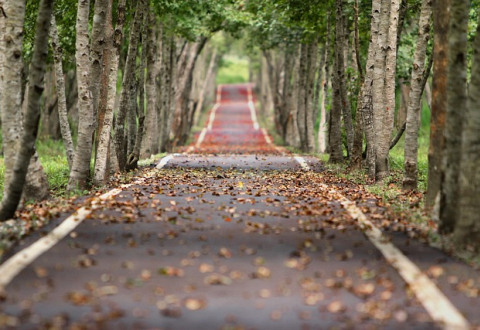 road