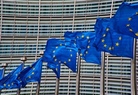 ΕΥΡΩΠΑΪΚΕΣ ΕΚΛΟΓΕΣ ΚΑΙ ΟΙΚΟΝΟΜΙΑ