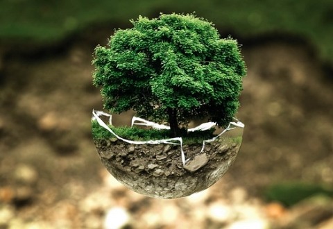 ENVIRONMENTAL BEHAVIORAL PERCEPTIONS UNDER UNCERTAINTY OF ALTERNATIVE ECONOMIC FUTURES
