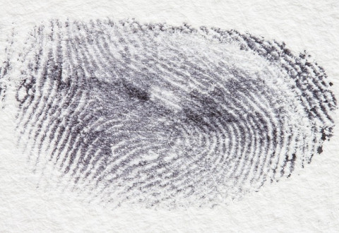 fingerprint