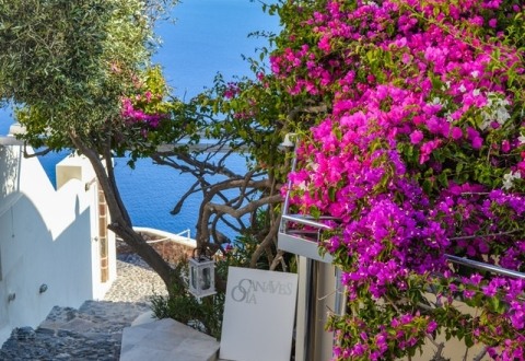 ΕΘΙΜΙΚΗ ΚΑΘΑΡΟΔΕΥΤΕΡΑ