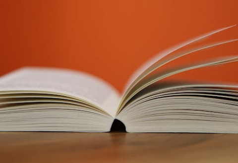 Η ΕΠΑΓΓΕΛΜΑΤΟΠΟΙΗΣΗ ΤΟΥ ΔΙΕΥΘΥΝΤΗ ΣΧΟΛΙΚΗΣ ΜΟΝΑΔΑΣ: ΑΠΟ ΤΗ ΓΡΑΦΕΙΟΚΡΑΤΙΑ ΣΤΗΝ ΣΧΟΛΙΚΗ ΗΓΕΣΙΑ. H ΕΛΛΗΝΙΚΗ ΠΕΡΙΠΤΩΣΗ