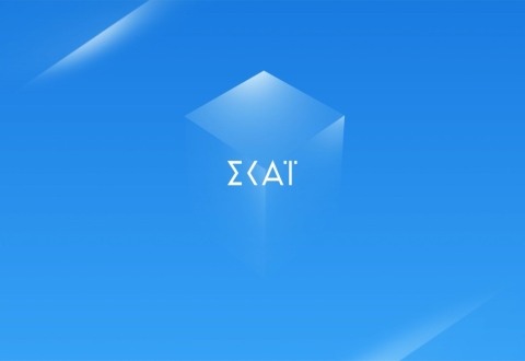 ΣΥΝΕΝΤΕΥΞΗ Π.Ε. ΠΕΤΡΑΚΗ ΣΤΗΝ ΕΚΠΟΜΠΗ "ΑΤΑΙΡΙΑΣΤΟΙ" ΣΤΗΝ ΤΗΛΕΟΡΑΣΗ ΤΟΥ ΣΚΑΪ