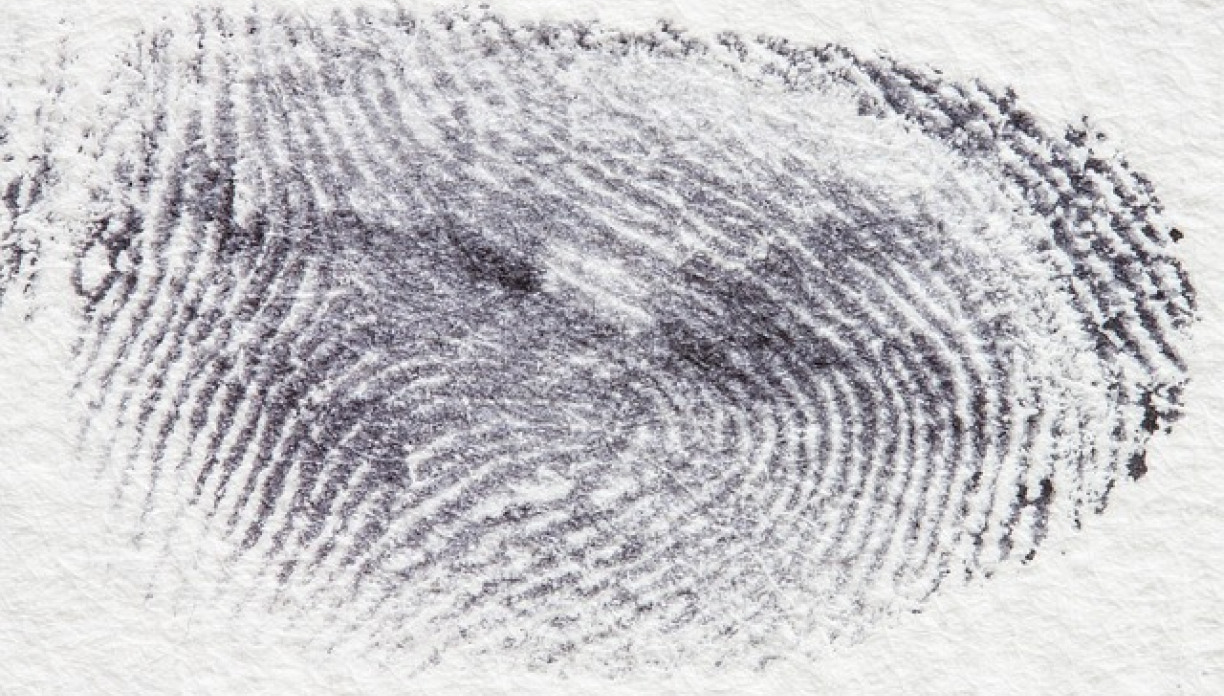 fingerprint