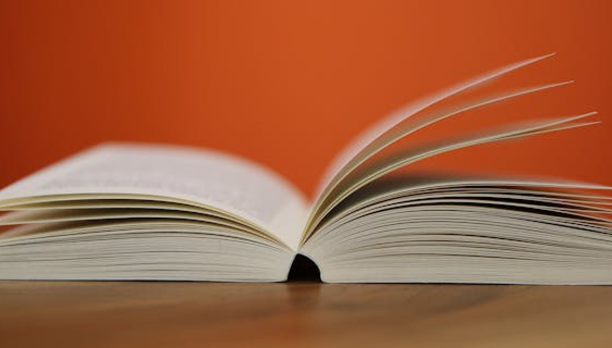 Η ΕΠΑΓΓΕΛΜΑΤΟΠΟΙΗΣΗ ΤΟΥ ΔΙΕΥΘΥΝΤΗ ΣΧΟΛΙΚΗΣ ΜΟΝΑΔΑΣ: ΑΠΟ ΤΗ ΓΡΑΦΕΙΟΚΡΑΤΙΑ ΣΤΗΝ ΣΧΟΛΙΚΗ ΗΓΕΣΙΑ. H ΕΛΛΗΝΙΚΗ ΠΕΡΙΠΤΩΣΗ