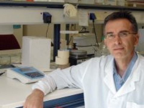 Βασίλης Γοργούλης | Καθηγητής - Διευθυντής | Εργαστήριο Ιστολογίας και Εμβρυολογίας | Ιατρική Σχολή ΕΚΠΑ