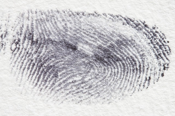fingerprint