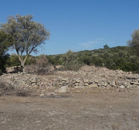 Ανακαλύφθηκε ναός της Αφροδίτης στην Τουρκία