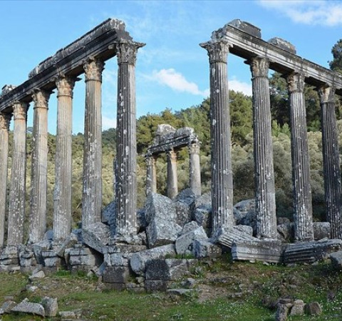 Αποκατάσταση και ανάδειξη αρχαίου ναού του Διός, στην Εύρωμο