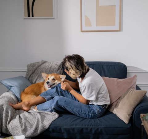 Οι έξυπνοι σκύλοι μπορούν να μάθουν εκατοντάδες λέξεις