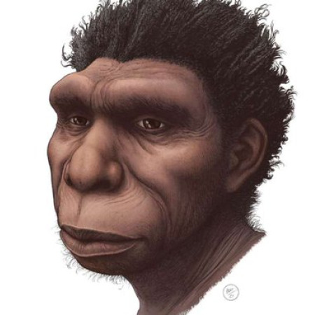 Homo bodoensis: Ο νέος πρόγονος του ανθρώπου