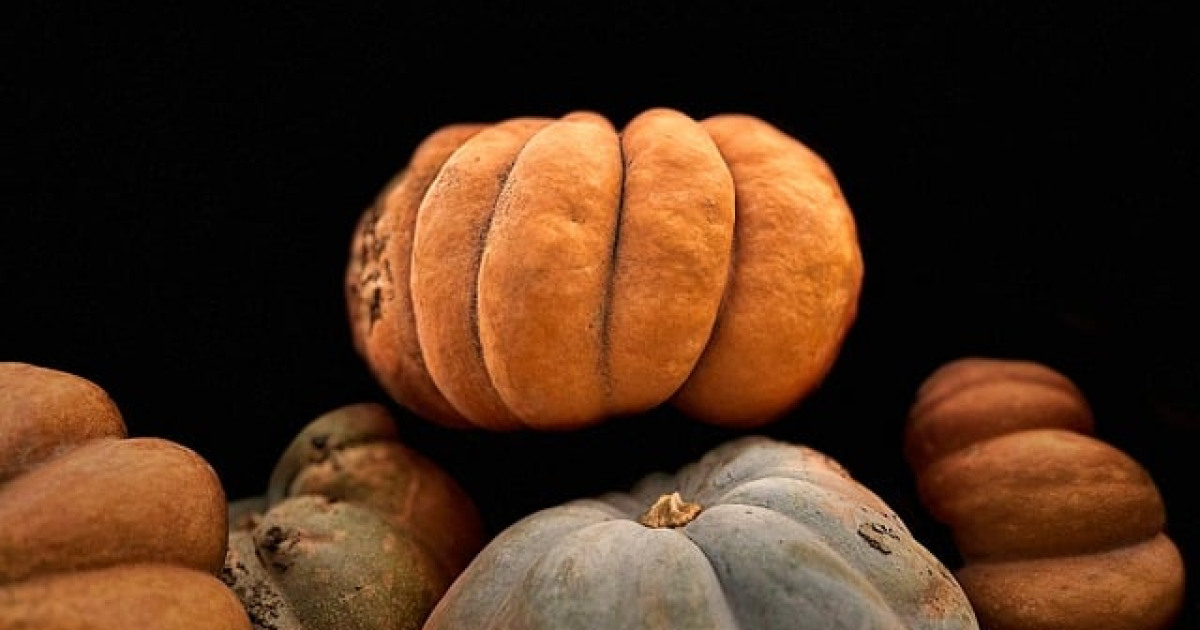 Deep Ridges Pumpkin Απλά φιλοσοφικά μαθήματα για να γίνεις καλύτερος ηγέτης | In Deep
